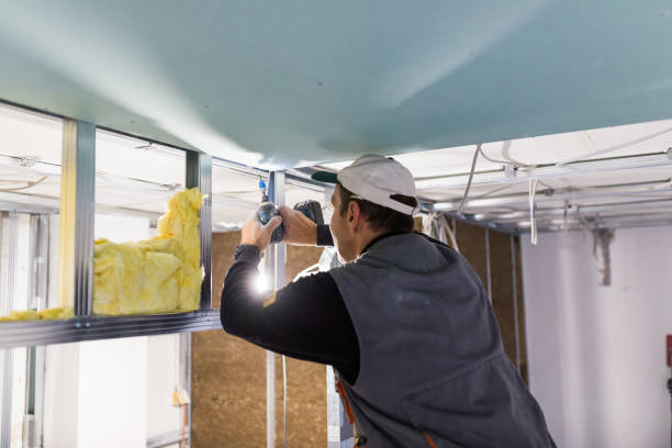 Best Insulation for Specific Applications in Shenandoah, LA
