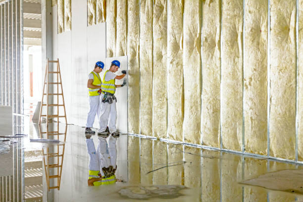 Best Insulation for Specific Applications in Shenandoah, LA
